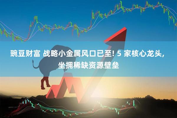 豌豆财富 战略小金属风口已至! 5 家核心龙头, 坐拥稀缺资源壁垒