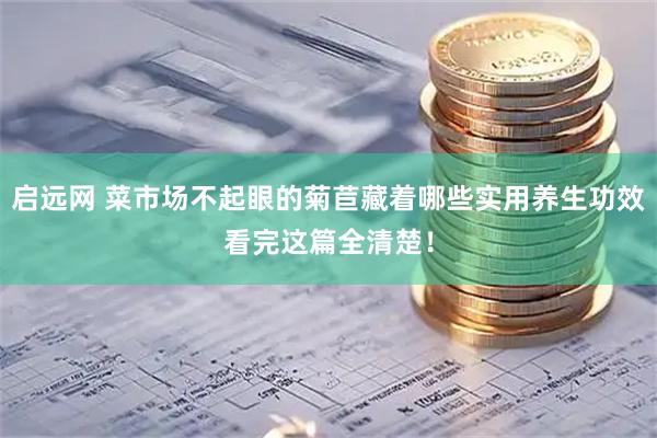 启远网 菜市场不起眼的菊苣藏着哪些实用养生功效看完这篇全清楚！