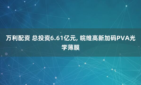 万利配资 总投资6.61亿元, 皖维高新加码PVA光学薄膜