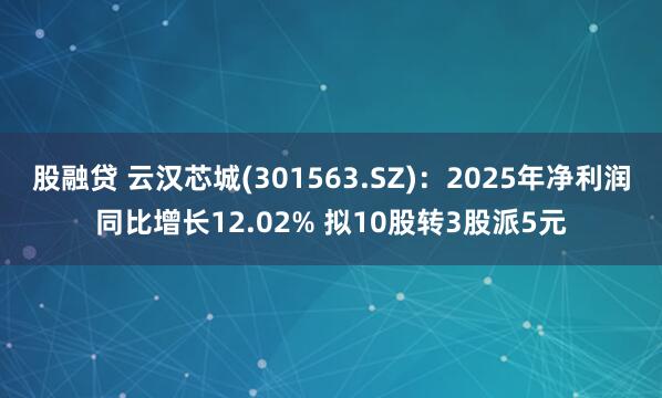 股融贷 云汉芯城(301563.SZ)：2025年净利润同比增长12.02% 拟10股转3股派5元