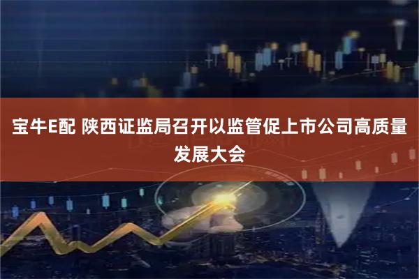 宝牛E配 陕西证监局召开以监管促上市公司高质量发展大会