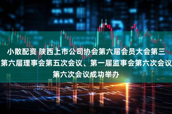 小散配资 陕西上市公司协会第六届会员大会第三次会议暨第六届理事会第五次会议、第一届监事会第六次会议成功举办