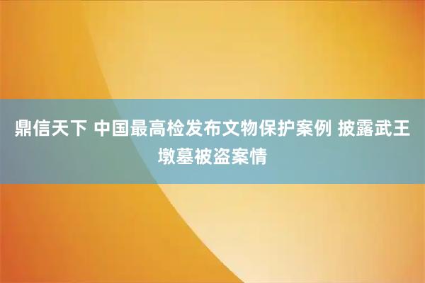 鼎信天下 中国最高检发布文物保护案例 披露武王墩墓被盗案情
